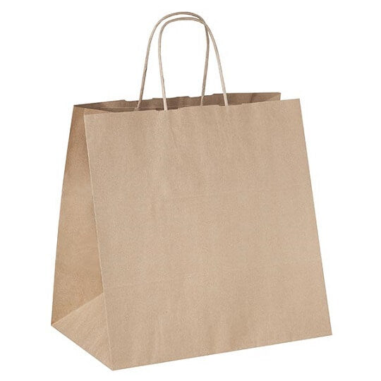 Pungi din hartie natur cu maner snur